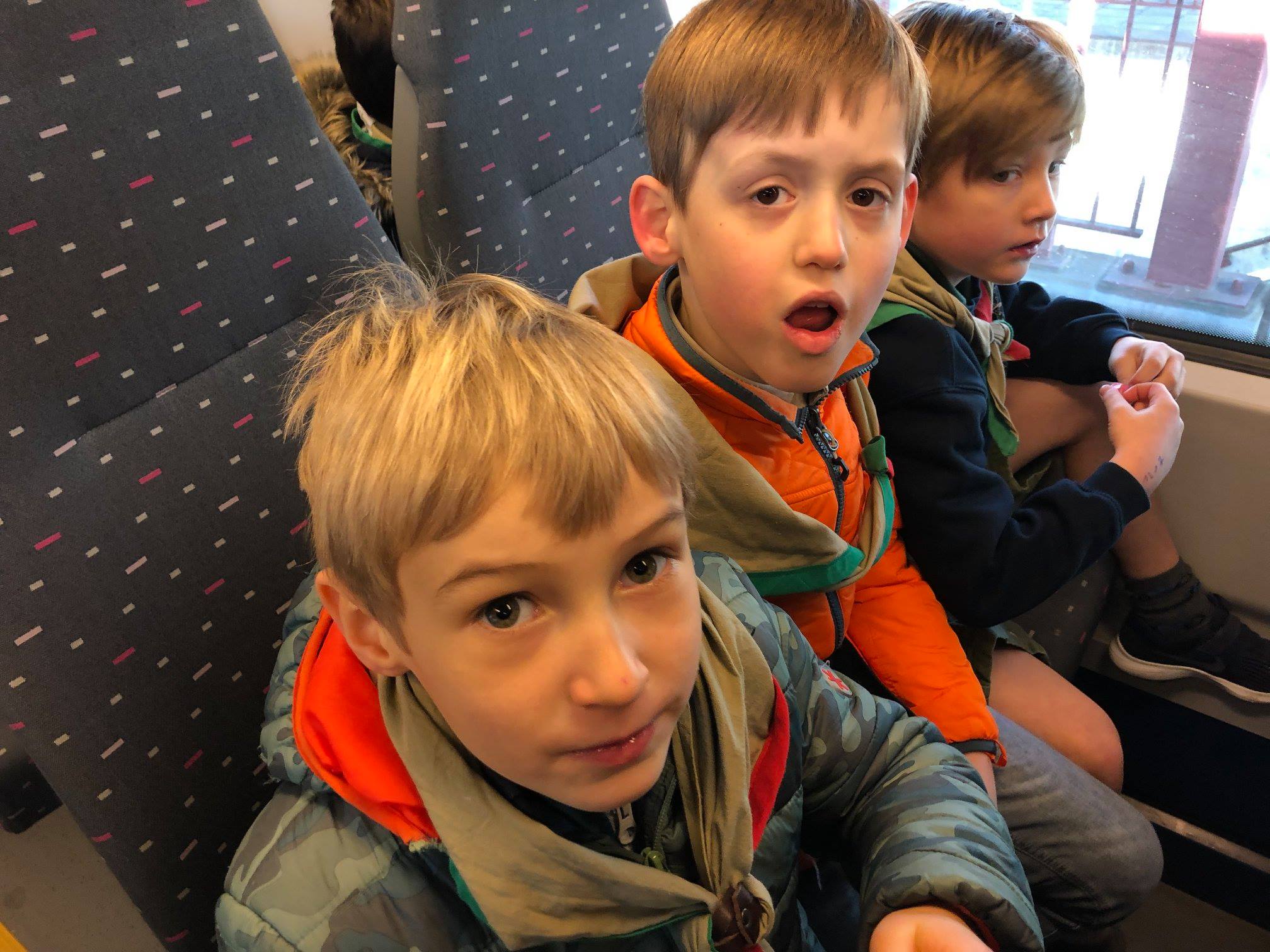 Sint-Martinus den XIIde - Zoo Antwerpen Kapoenen